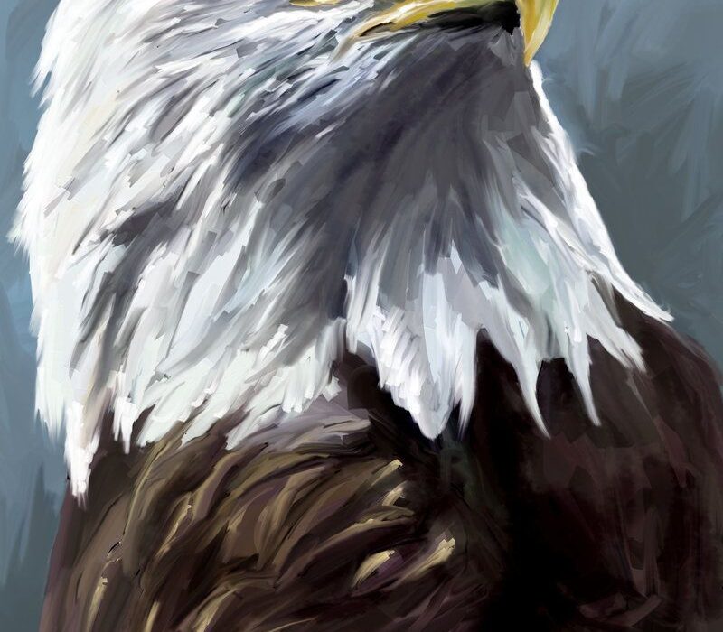 Aquila, di Scott-Edward