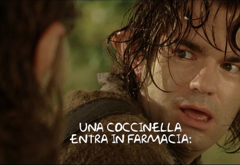 coccinella