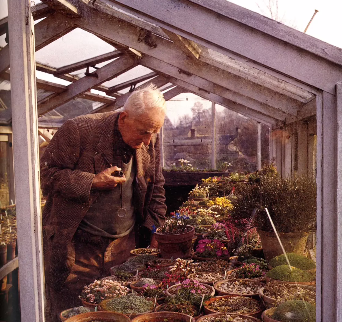 Clarence Elliott, foto di Ursula Buchan, “Als die Gärtner Tweed trugen” – Gerstenberg Verlag/ Thames & Hudson